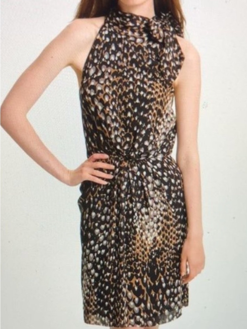 Trina Turk Madame Blanche Animal Print Dress